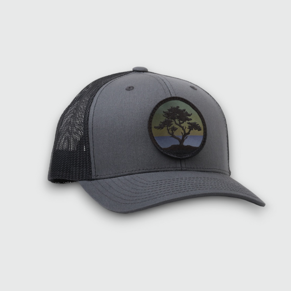 Blackout Cypress Curved-Brim Trucker (Charcoal/Black)