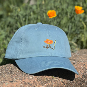 Poppy Soft-Top (Sky)