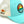 Poppy Serenity Curved-Brim Trucker (Seafoam/Ivory)