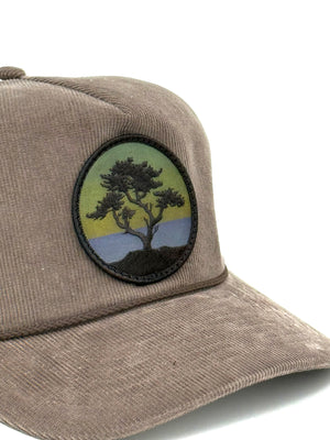 Blackout Cypress Corduroy Trucker (Brown/Sand)