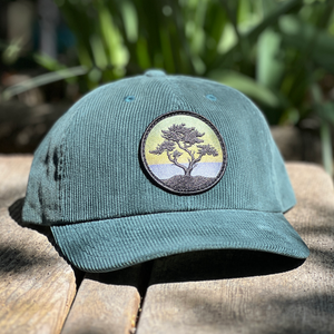 Blackout Cypress Corduroy Soft-Top