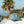 Serenity Trucker (Ocean/Sand)