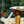 Straw Hat by Tommy Breeze with a person standing by a VW bus in Marin County