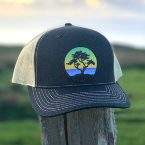 Cypress Curved-Brim Trucker (Black/Gold)