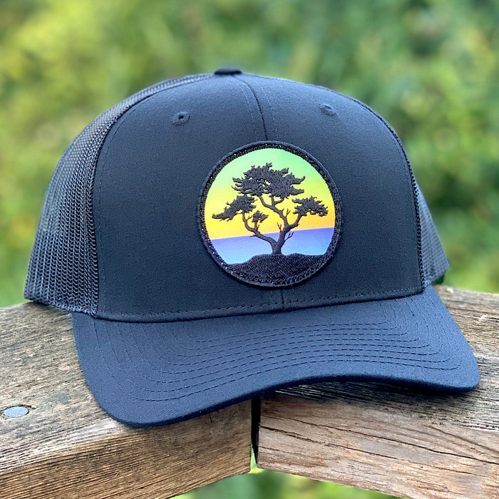 Cypress Curved-Brim Trucker, Black